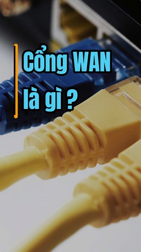 Cổng WAN của Router: Cánh cửa dẫn đến Internet #wanport #router #wifi #pisacat