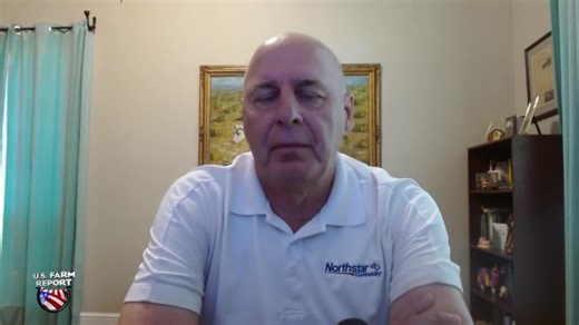 How Much Lower Could Corn Prices Fall With a 185 or Higher National Corn Yield?