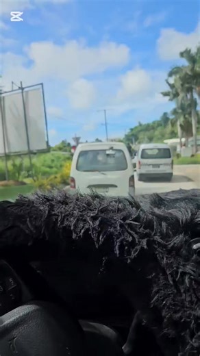 🎶 Wrong Turn [JT302Muzik Prodz] 🎶 @highlight https://www.mediafire.com/file/rljj2qi4wlndg4l/Wrong Turn [JT302Muzik Prodz].mp3/file Blong listen lo hem nmo..🔥🙏 #facebookpostシ #followersreelsfyp #shortsreels #videoviralシ #reelsviralシ #viralvideoシfyp #fypシ゚viralシ #viralreels #viralvideoシ #facebookreel #reelsfacebook #VanuatuMusic #foryoupage #everyonehighlights #entertainment | CinThu KJ Taseru