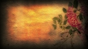 Download Wall Texture And Roses for free