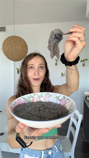 8.2K views · 52 reactions | Grew my table into a giant chia pet fairy garden - The Full Story | Jessie JJ | Facebook