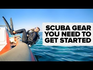 Gear You Need To Get Started Scuba Diving