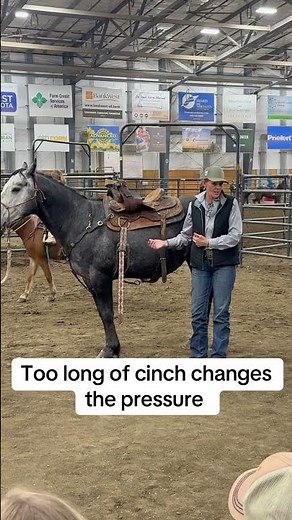 Saddle cinching and the length change how your saddle fits. #saddlefitting #horseriding #horse