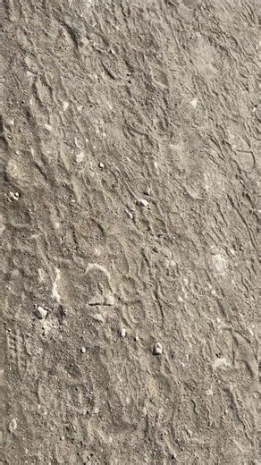 ‏WJOUH ZROK KI BAKOU LCAMEL #🇹🇳 #fyp #ktyb #yba #15