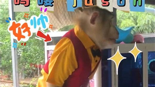 吗喽jason的番茄炒蛋配色的新造型