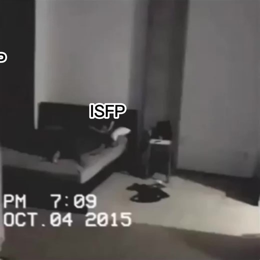 Understanding ISFP and ENTP Personalities Through Memes