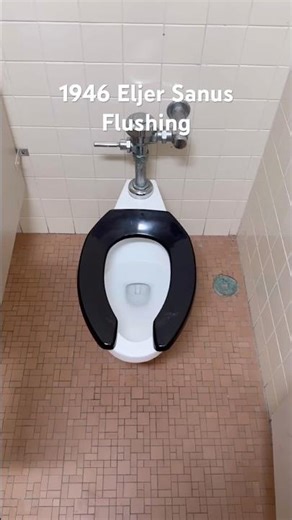 1946 Eljer Tri-San Flushing! #toilet #toiletflush #plumbing