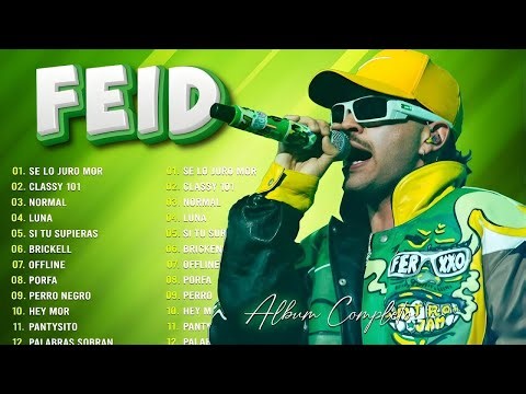 FEID MIX ÉXITOS 2026 LO MÁS POPULAR DE FEID 2026 LOS 30 MEJORES CANCIONES REGGAETON 2026 DE FEID