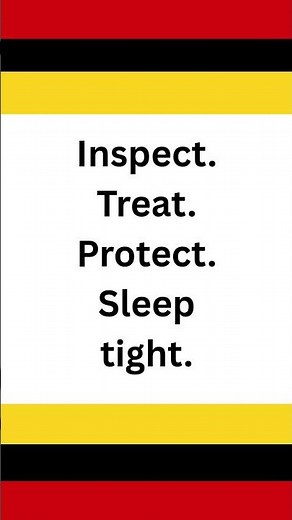 3 Easy Steps to a Bug-Free Bed 🛏️🚫🪳