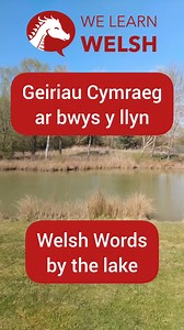 Welsh words by the lake! 😃 #welshlanguage #learnwelsh #dysgucymraeg #welsh #cymru #cymruambyth #wales #cymraeg | We Learn Welsh - Welsh Word of the Day