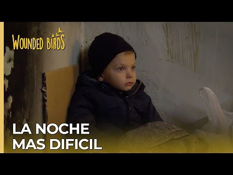 ¿Qué une #LevMer juntos? | Omer Sueños Robados Capítulo 11