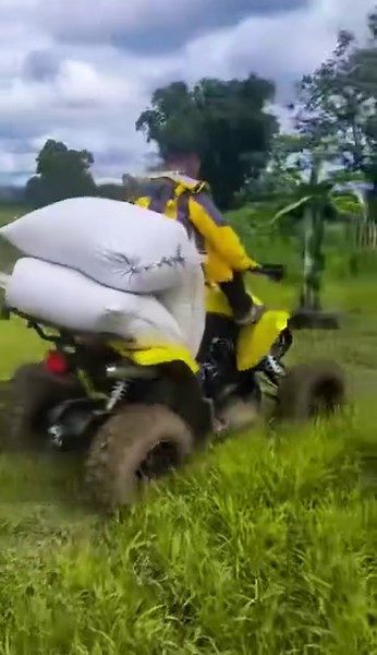IT’S FREE DELIVERY NOW! 🌾Job in the Farm! ☑️Check out our UCM STINGRAY 150 on how useful at Dangeon Farm. Making carbonized rice hull for Dragon Organic Fertilizer.. ©️📹 Wensan Weng Amoguis #FarmingFriday #StingrayATV #UtilityATV #QualityProduct #12Years #TrustedATVCompany | UCM ATV Motors
