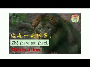 学中文-在动物园里的动物 Learn Chinese-Animals at the zoo