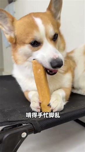 MILKY ARoma: Ultimate Cheese Sticks with Cow & Goat Milk