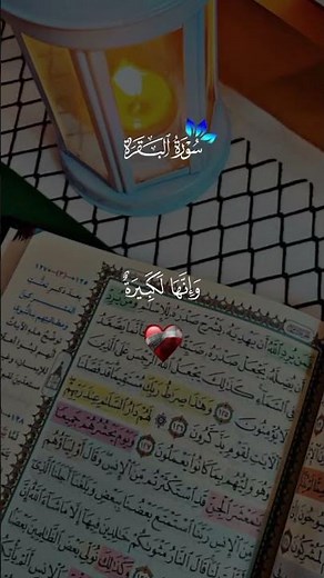 #قرآن#استخدم_الصوت #ماهر_المعيقلي #لايك