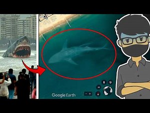 PENAMPAKAN MEGALODON ASLI DI GOOGLE EARTH