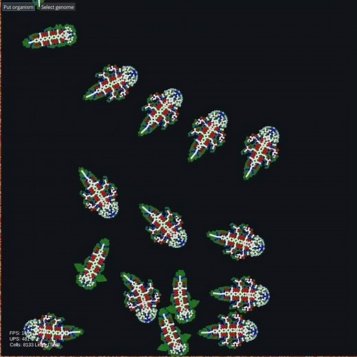 Asexual reproduction. Geometric progression