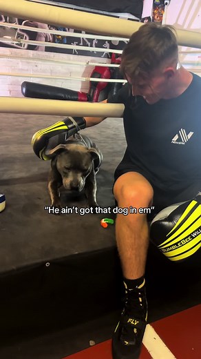 Itchy knuckles #fyp #boxing