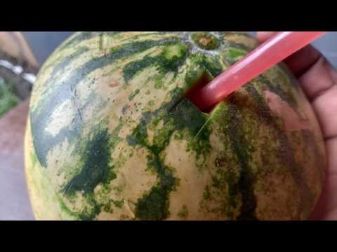 Just 1 Ingredient Makes This Watermelon Cocktail Mind Blowingly Good 🍉