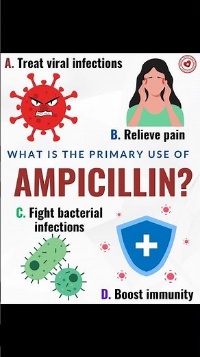 🧪✨ What is the primary use of ampicillin? #pharmacology #ampicillin #ampicillinpharmacology