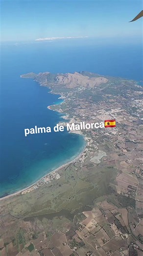 palma de mallorca original