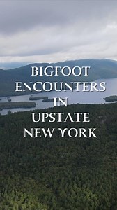80K views · 1.9K reactions | Appalachian Bigfoot Files is back again!...