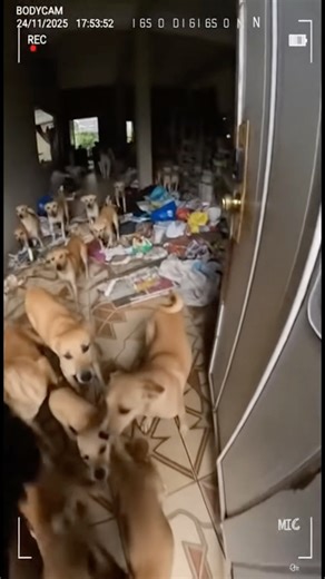 Caramel spawn #dog #puppy #bodycam