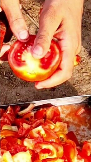 The Science of Cutting Tomatoes