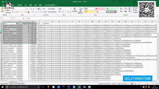KEGG富集分析富集通路在线操作