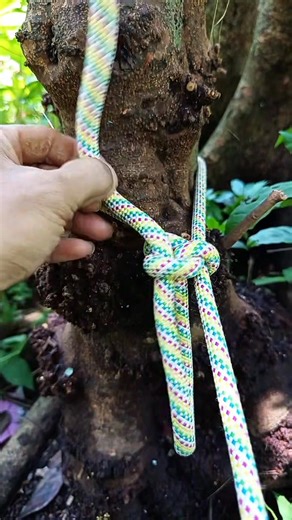 2K views · 15 reactions | The Siberian hitch is a hitch knot used to attach a rope to an object. It is a type of slipped figure-eight noose. The hitch is known for having a tying method suitable even while wearing heavy gloves or mittens in cold climates.  #knottricks #siberianhitch #ropeskills #outdoor #survive | Hafiz Munggaran | Facebook
