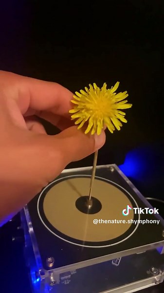 Mesmerizing Slow Motion Lightning Strikes in 600 FPS