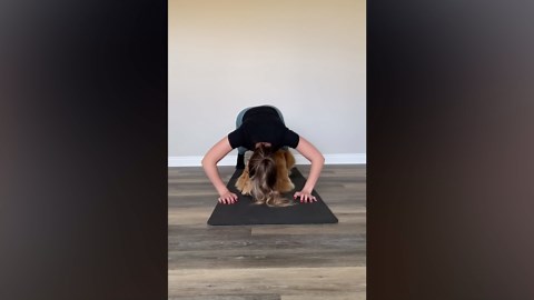 This Is What My Dog Does When I Workout | Funny Dog Antics During Exercise!