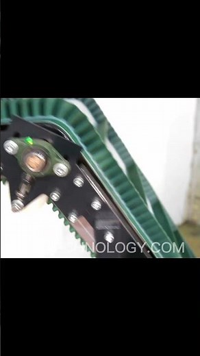 Conveyor for moving nuts. Automation of nut processing