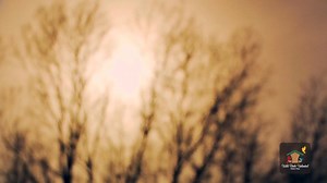 1K reactions · 39 shares | Let our experts at Wild Birds Unlimited, show you how to turn your yard into a bird feeding habitat that not only brings song, color and life to your home, but also benefits the wild birds and the environment in your area. We ARE your LOCAL bird feeding experts. Shop in-store or online. | Wild Birds Unlimited | Facebook