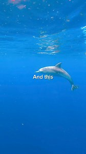 Last-minute Santa shopping? Forget the usual, grab the gift of adventure instead!  Book a tour or an activity that’ll create memories way cooler than another pair of socks. Who needs a ‘classic’ present when you can gift them a little holiday magic? ✨ #christmas #giftingseason #giftofadventure #holidaymagic #travelling #travello | Travello | Facebook