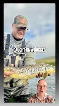 Best Woolly Bugger Colors?!? 🎣