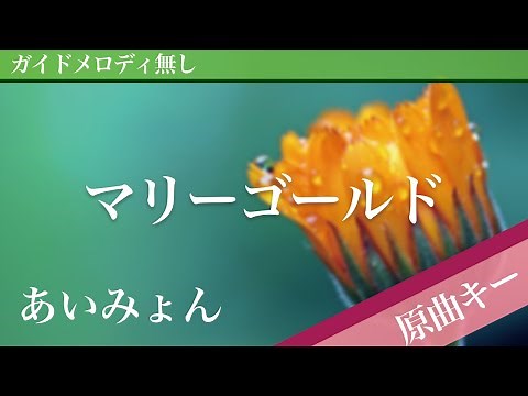 Marigold - Aimyon [Off Vocal | Original Key]