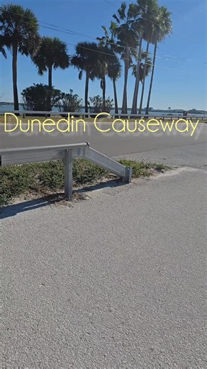 #beachlife #whenInDunedin #dunedincauseway #dunedinflorida | Dunedin - Honeymoon Island Beach Life & More