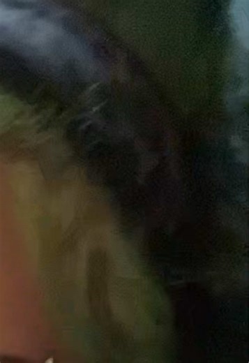 Everglades out now, music video drops at 2pm, see you there. #aziedoesntexist