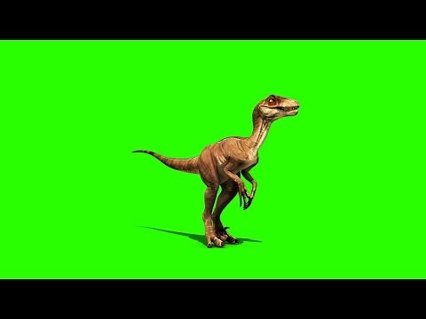Green Screen Dinosaurs Velociraptor Prehistory - Footage PixelBoom