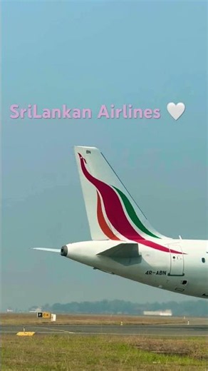 ✈️ Up close with a SriLankan Airlines Airbus! 🇱🇰🔥 #travel #aircraft