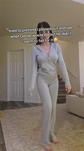 Goose's Reaction to the Prank Attempt