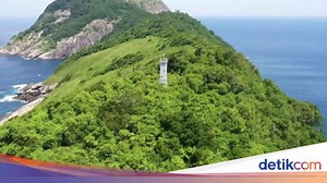 Pulau Ular Tak Hanya Ada di Brasil tapi Juga Indonesia, Lebih Mengerikan Mana?