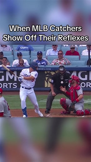 Reflexes are a huge part of being a catcher, so I wanted to make a vid appreciating them a bit #MLB #baseball #mlbtiktok #baseballtiktok #baseballtiktoks #baseballboys #baseballlife #baseballszn #madethecut