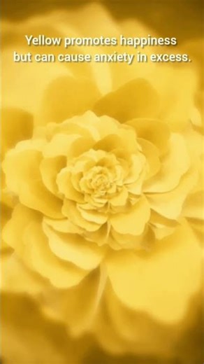 Your brain reacts to colours in 0.2 seconds. Here’s how. #ColourPsychology #DidYouKnow #Visual