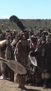 Thousands came out to celebrate the coronation of Misuzulu ka Zwelithini as Zulu king in South Africa. The 48-year-old is the son of the previous king, but his accession to the throne has been contested by other royals. https://bbc.in/3dMiVxH | BBC News
