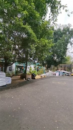 Quick walk through at Aquatic Jungle. Plenty of pond plants are available. New stock is coming in weekly. | Aquatic Jungle