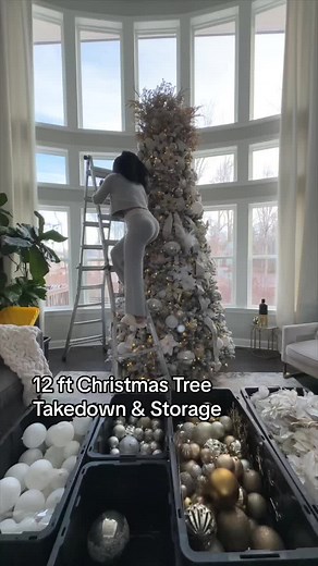Christmas Tree Storage & Organization on my 12’ Tree. Hours to go up. How ling do you think it took to take down? Everything i used is 🔗 in my bio ✨ #christmastiktok #christmastreetakedown #christmasstorage #christmasorganization #christmasorganizing