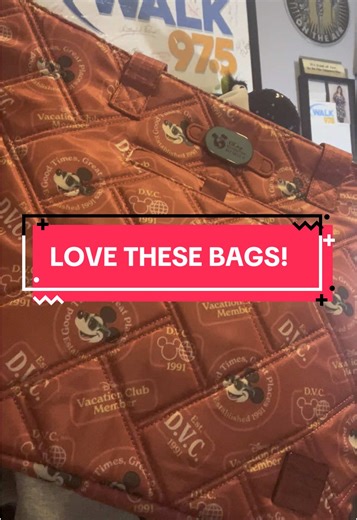 Disneymerch: Perfect Bags for Travel and Parks