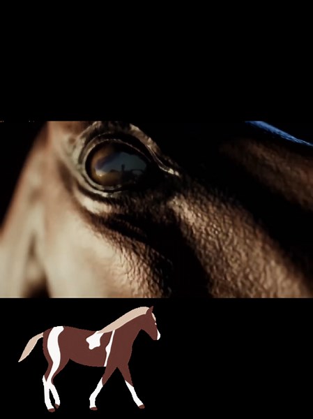 Horses 2025: Anticipated Trailer Highlights